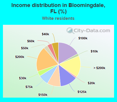 Income distribution in Bloomingdale, FL (%)