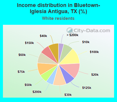 Income distribution in Bluetown-Iglesia Antigua, TX (%)