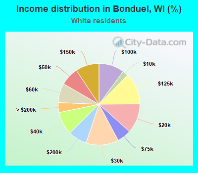 Income distribution in Bonduel, WI (%)