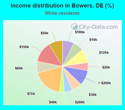 Income distribution in Bowers, DE (%)