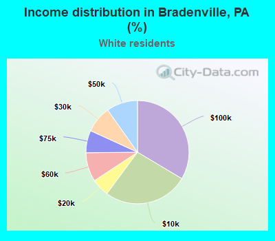 Income distribution in Bradenville, PA (%)