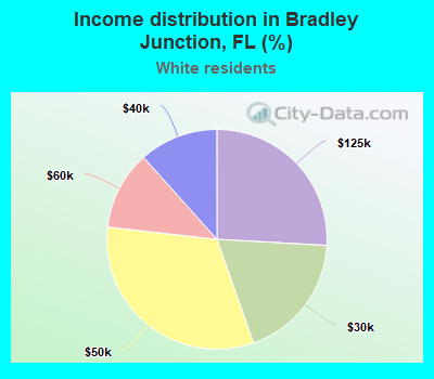 Income distribution in Bradley Junction, FL (%)