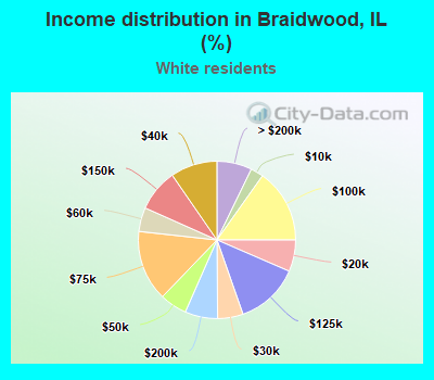 Income distribution in Braidwood, IL (%)