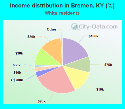 Income distribution in Bremen, KY (%)