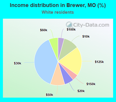 Income distribution in Brewer, MO (%)