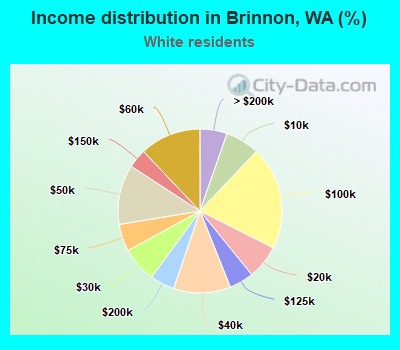 Income distribution in Brinnon, WA (%)