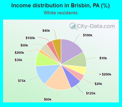 Income distribution in Brisbin, PA (%)