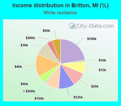 Income distribution in Britton, MI (%)