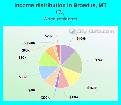 Income distribution in Broadus, MT (%)