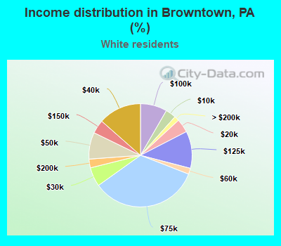 Income distribution in Browntown, PA (%)