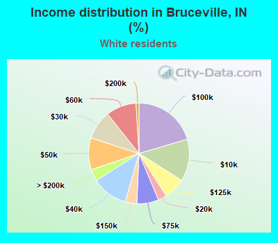 Income distribution in Bruceville, IN (%)