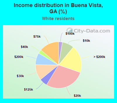 Income distribution in Buena Vista, GA (%)
