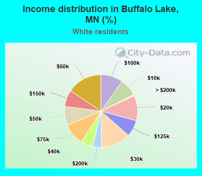 Income distribution in Buffalo Lake, MN (%)