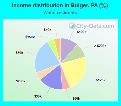 Income distribution in Bulger, PA (%)