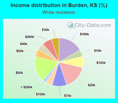 Income distribution in Burden, KS (%)