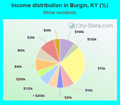 Income distribution in Burgin, KY (%)