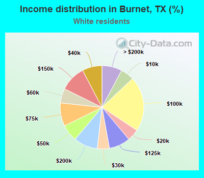 Income distribution in Burnet, TX (%)