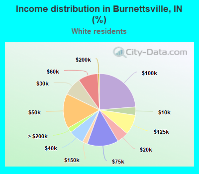 Income distribution in Burnettsville, IN (%)