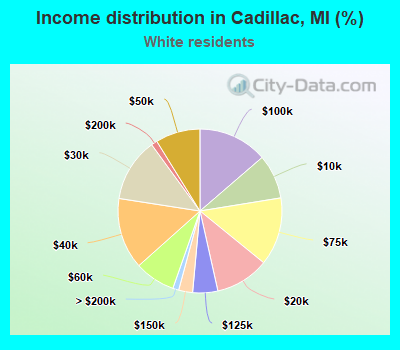Income distribution in Cadillac, MI (%)
