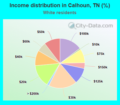 Income distribution in Calhoun, TN (%)