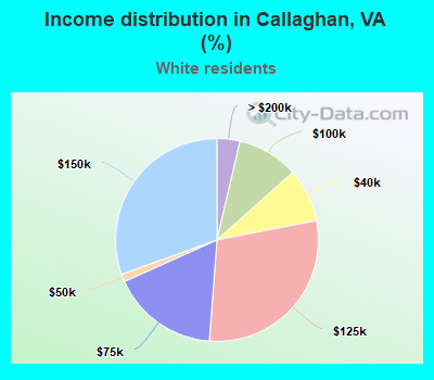 Income distribution in Callaghan, VA (%)