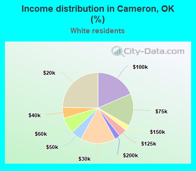 Income distribution in Cameron, OK (%)