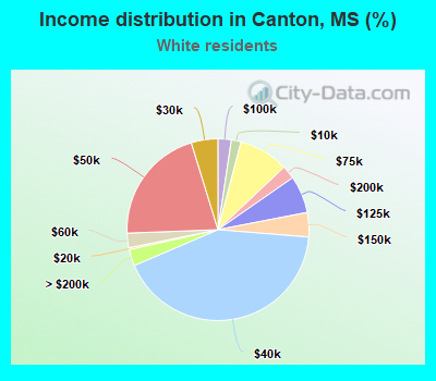 Income distribution in Canton, MS (%)