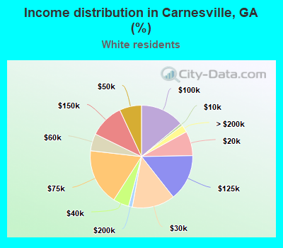 Income distribution in Carnesville, GA (%)