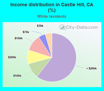 Income distribution in Castle Hill, CA (%)