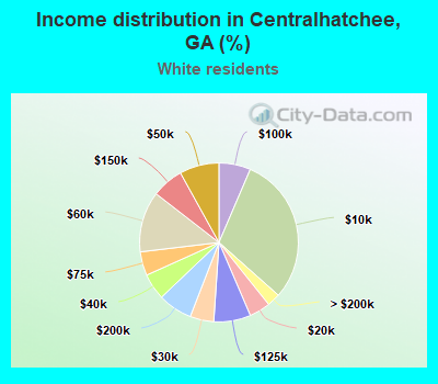 Income distribution in Centralhatchee, GA (%)