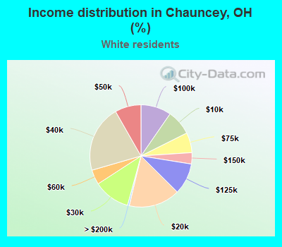 Income distribution in Chauncey, OH (%)