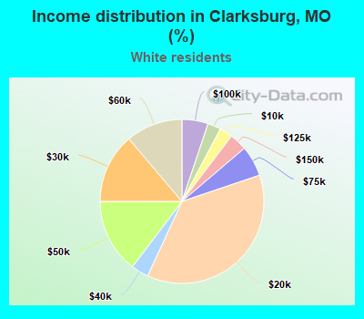Income distribution in Clarksburg, MO (%)