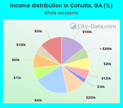 Income distribution in Cohutta, GA (%)