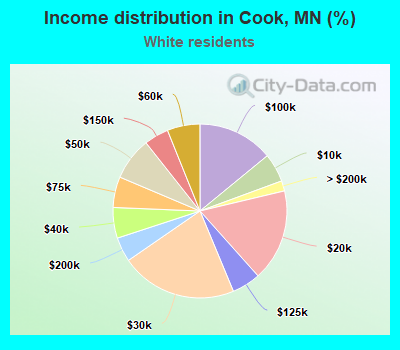 Income distribution in Cook, MN (%)