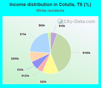 Income distribution in Cotulla, TX (%)