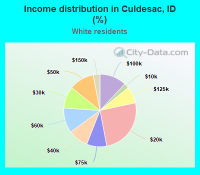 Income distribution in Culdesac, ID (%)