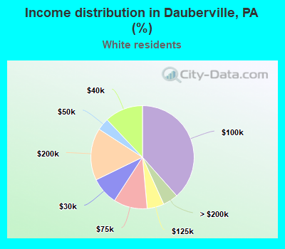 Income distribution in Dauberville, PA (%)