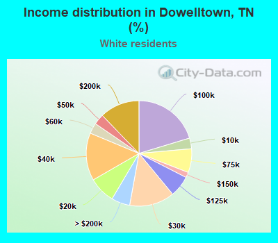Income distribution in Dowelltown, TN (%)