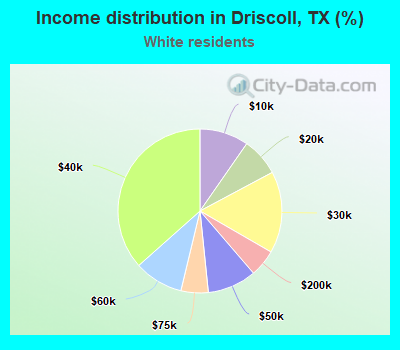 Income distribution in Driscoll, TX (%)