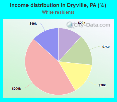 Income distribution in Dryville, PA (%)