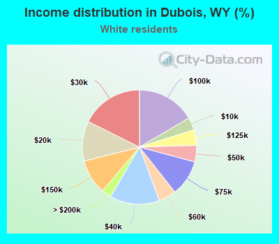 Income distribution in Dubois, WY (%)