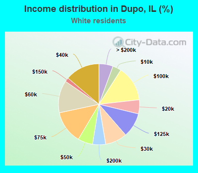 Income distribution in Dupo, IL (%)