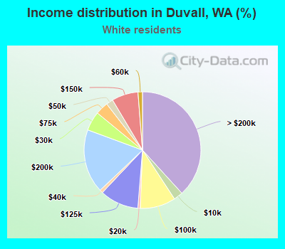 Income distribution in Duvall, WA (%)