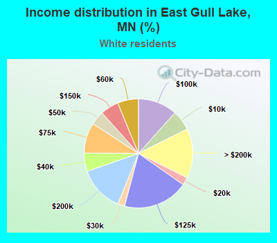 Income distribution in East Gull Lake, MN (%)