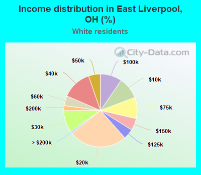 Income distribution in East Liverpool, OH (%)