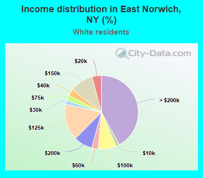 Income distribution in East Norwich, NY (%)