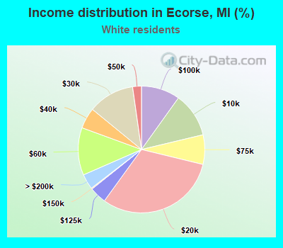 Income distribution in Ecorse, MI (%)