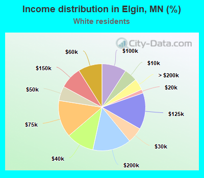 Income distribution in Elgin, MN (%)