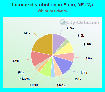 Income distribution in Elgin, NE (%)