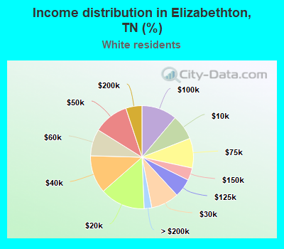 Income distribution in Elizabethton, TN (%)